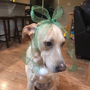 Meet your Posher, Ericka